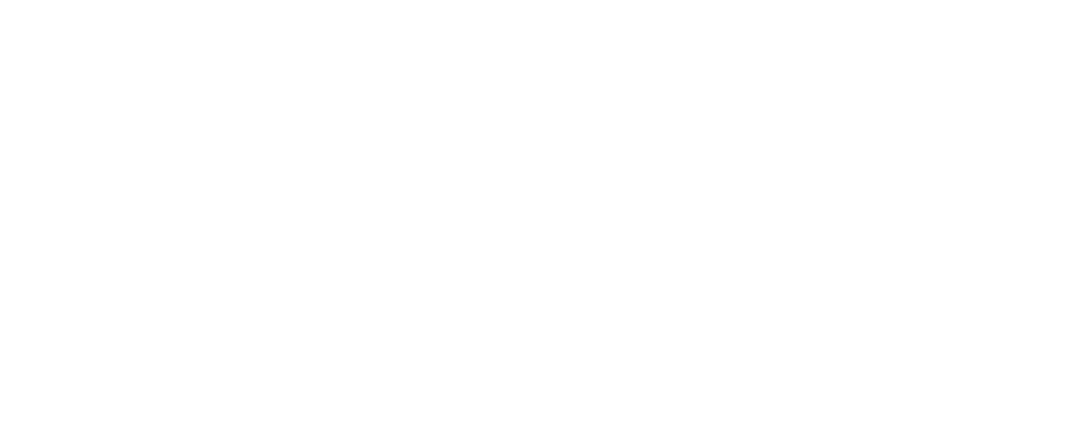 Cyber Spark IT Services Ltd